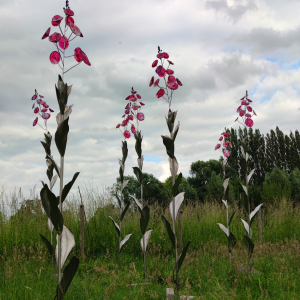 B. Jane Cowie - Fireweed flower (Overview)(Glass, stainless steel, LED)